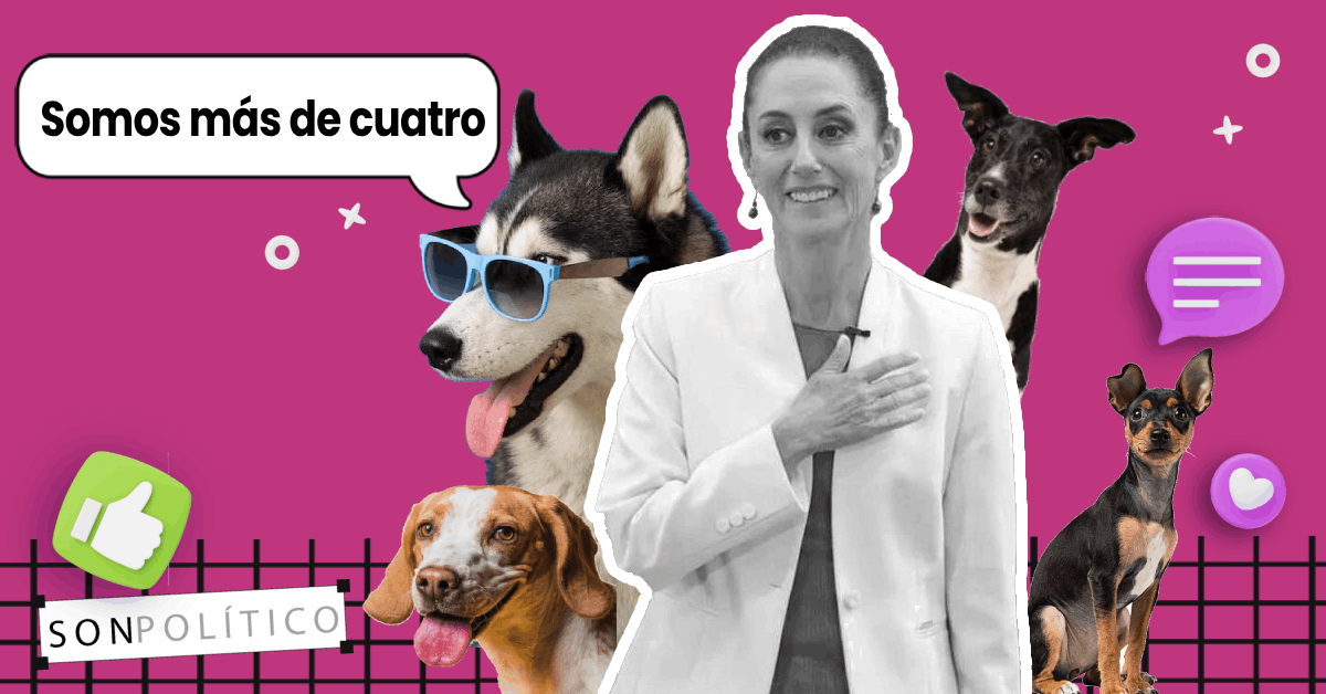 Claudia Sheinbaum y su compromiso con los animales: La historia detrás de la adopción de Cuatro